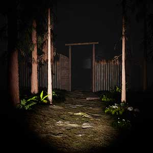 Study of Unusual Forest of Secrets