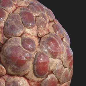 Substance Designer 2021 Textura