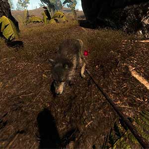 Hunt fish and land animals