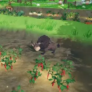 Tales of Seikyu - Cultivos