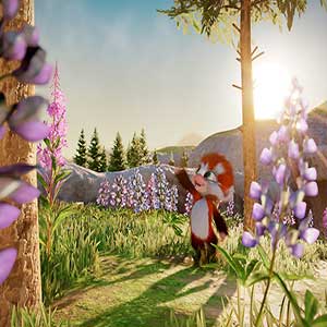 conjuntos de insectos