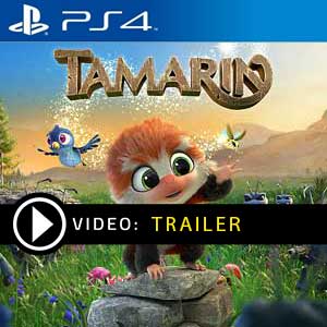 Comprar Tamarin PS4 Barato Comparar Precios