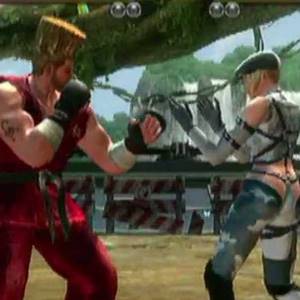 Tekken Tag Tournament 2 - Paul/Nina