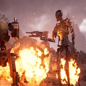 Terminator Resistance