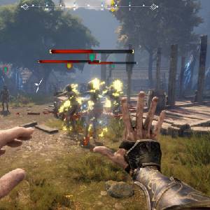 Testament The Order of High Human - Fuego