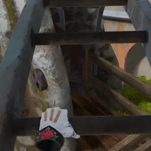 The Amusement VR - Clasificación