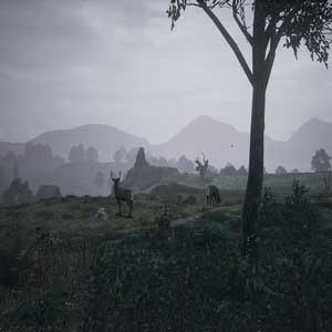 The Black Death Tierra medieval