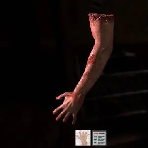 The Black Within - Brazo Humano