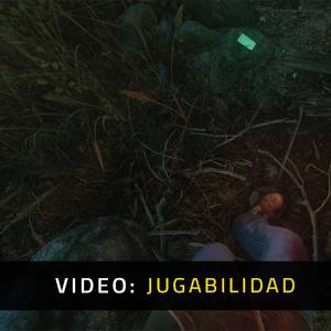 The Cursed Forest - Jugabilidad