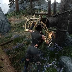 The Elder Scrolls 6 - Bandido Matón Guerrero