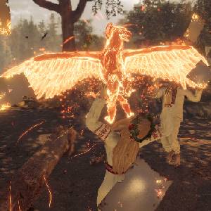 The End of the Sun - Pájaro