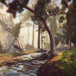 The Forest Cathedral - Río