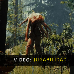 The Forest - Video de Jugabilidad