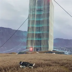 The Free Shepherd - Estructura