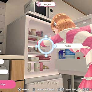 The Future You’ve Been Dreaming Of - Nevera