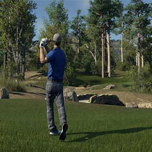 compete in tournaments