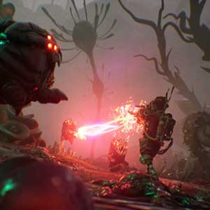 The Gunk Bestia Gunk