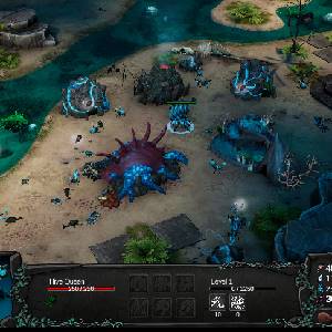 The Hive - Colmena Reina