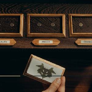 The Isle Tide Hotel Decisiones