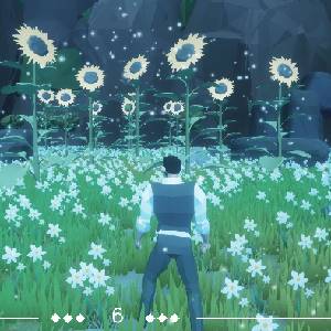 The Last Light - Girasol