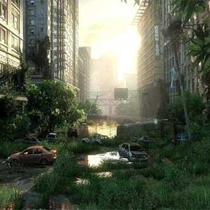 The Last Of Us City Ruinas