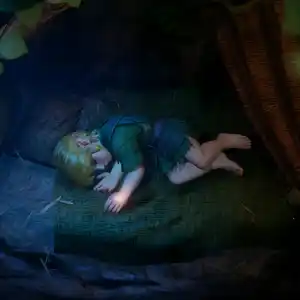 The Legend of Zelda: Ocarina of Time - Durmiendo