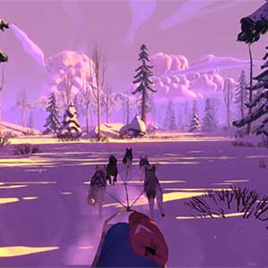 equipo de trineos de perros