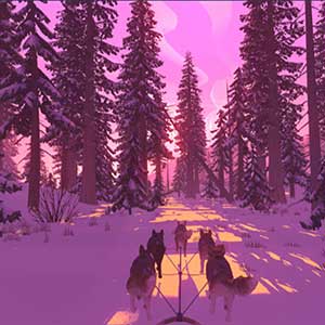 sobrevivir a la naturaleza