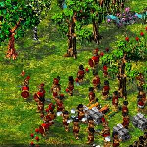 The Settlers 4 - Tropas