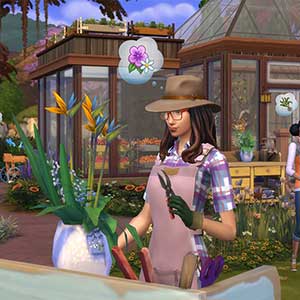 snowfalls to sweltering heat