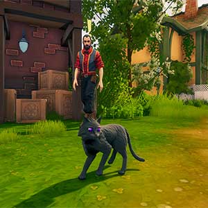 The Witch of Fern Island - Gato Familiar