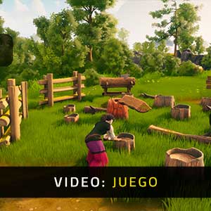 The Witch of Fern Island - Vídeo del Juego