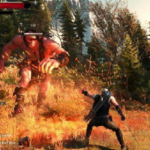 The Witcher 3 Wild Hunt Complete Edition Archgriffins