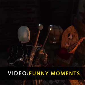 The Witcher 3 Wild Hunt Funny Moments