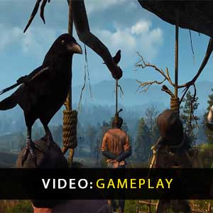 The Witcher 3 Wild Hunt Gameplay Video