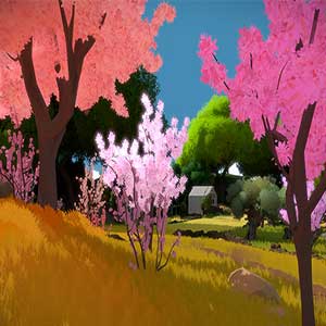 The Witness - Flores