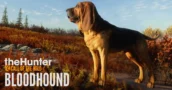 theHunter - Call of the Wild | Desarrollando al sabueso