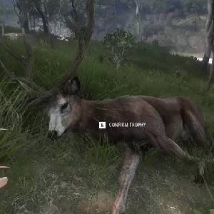 theHunter Call of the Wild Emerald Coast Australia - El Gran Ciervo Mute