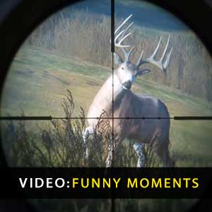 theHunter Call of the Wild Funny Moments