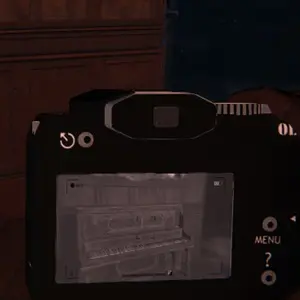 THIEF'S SHELTER - Cámara