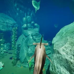 Time is Life - Tiburón