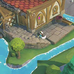 Time on Frog Island - Río de la Isla de las Ranas