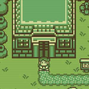Timothy and the Mysterious Forest Casa