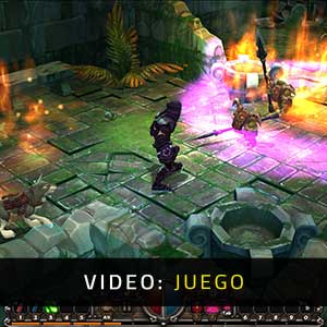 Torchlight Video de la Jugabilidad