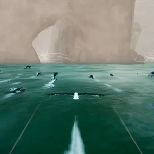 Toroa: Skycall – Delfines