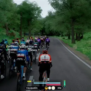 Tour de France 2026 - Bosque Verde
