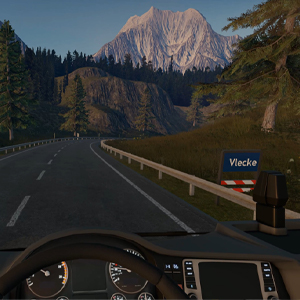 Truck Driver - Carretera