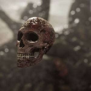 Waking Tides - Calavera