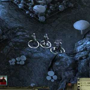 Explorando la ciudad de la guerra