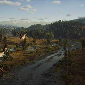 Way of the Hunter Pato Azulón